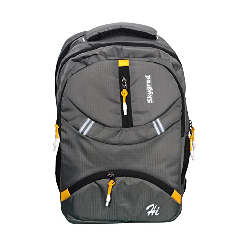 Bagsworks Skygred Laptop Bag/College Bag/School Bag/Office Bag/Waterproof Bag/Travel Bag/Casual Backpack/Trending 20L Backpack (Grey)