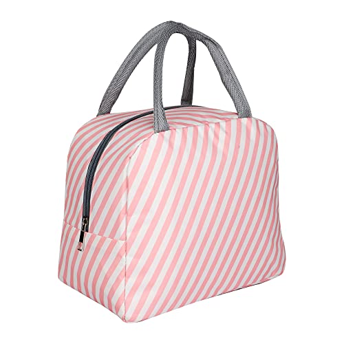 Bagsworks Insulated Reusable Nylon Lunch Bag Tote Bag for Women, Printed Lunch Bag for School, Picnic, Office, Outdoor, Gym (White-Pink)